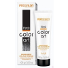 . CHANTAL Farba Intensis Color Art 100g 73 odcienie